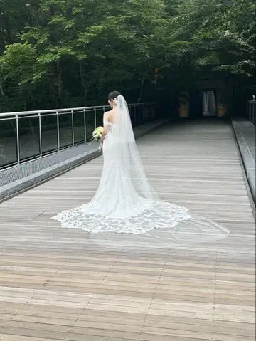 PRONOVIAS 프로노비아스 롱 베일