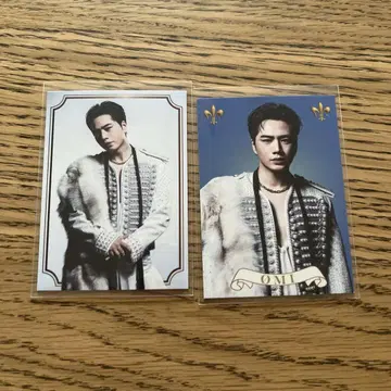 OMI 토사카 히로오미 포토 카드 kingdom