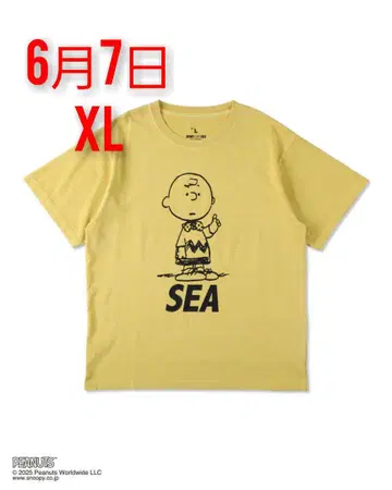 스무디 x WDS PGT 스누피 티셔츠