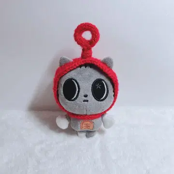 TXT 뿔바투 다고냥용 모자