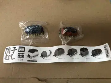 단고무시 곤충 캡슐 토이 이소베 참깨 2개 세트