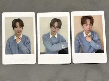 MeseMoa. 변덕스러운 프린스 하피카