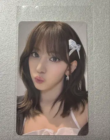 사쿠라 트레카