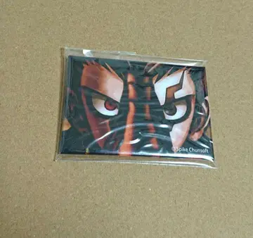 다나카 오시오키 캔뱃지