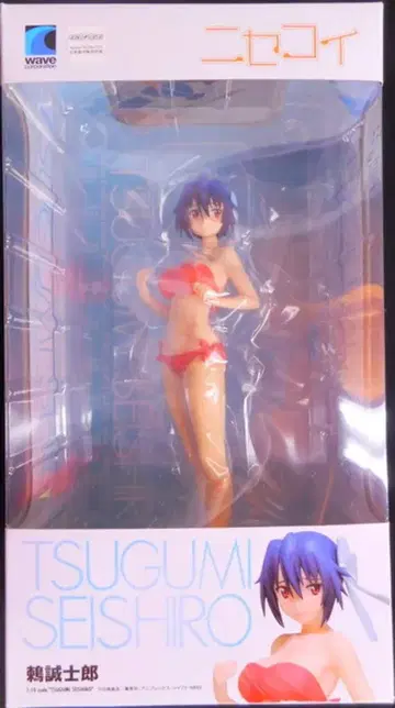 웨이브 비치 퀸즈 츠기마사 시로 PVC