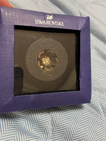 SWAROVSKI Garden Tales 목련 마그넷 오브제