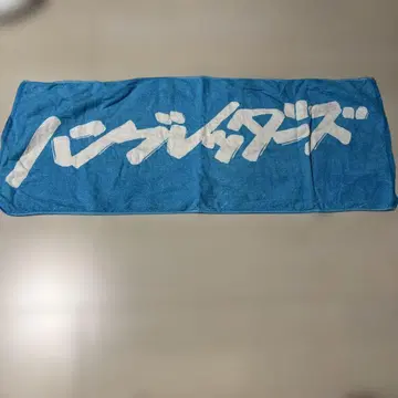 함브레더스 블루 타월
