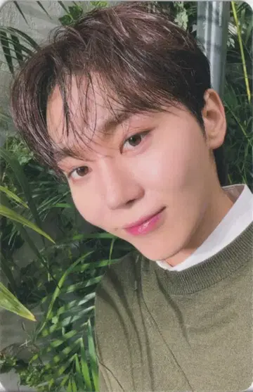 SEVENTEEN 초회 한정판 B SEUNGKWAN 소비기한 셀카
