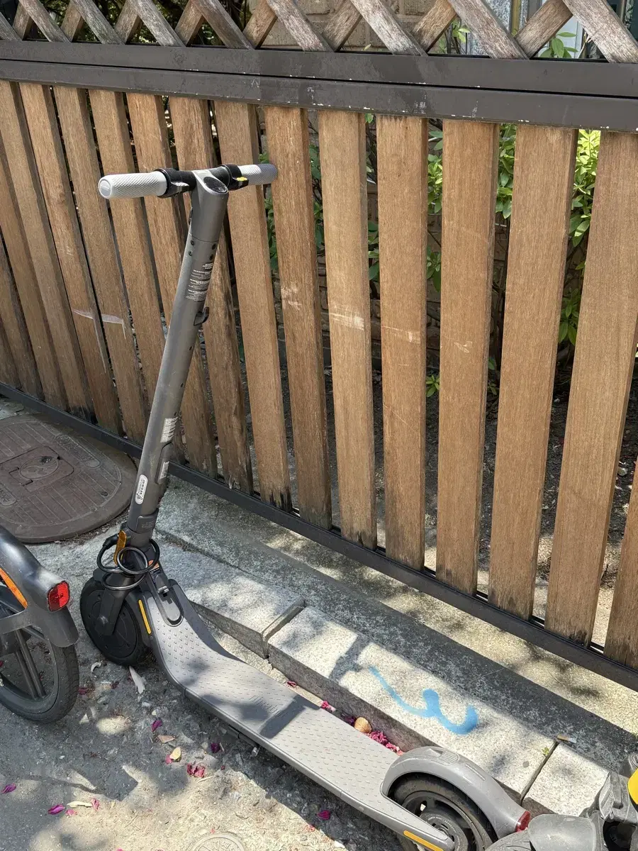 Ninebot e25 Electric Scooter