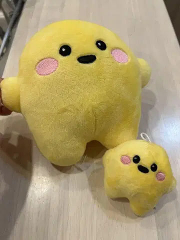 2개 세트! 초레어 서큘러 대소 세트 독일 엑스포