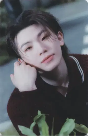 SEVENTEEN 초회 한정판 B WOOZI 소비기한