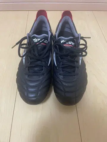 모렐리아 네오 4 블랙