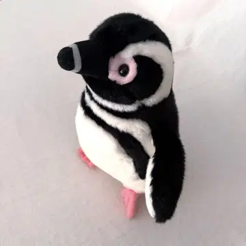 스미다 수족관 펭귄 봉제 인형 마젤란 펭귄 M