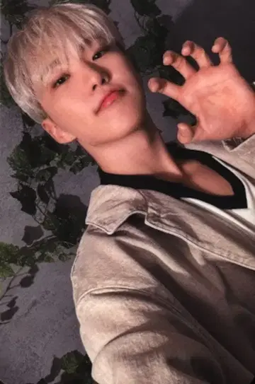 SEVENTEEN 초회 한정판 B HOSHI 소비 기한 셀카