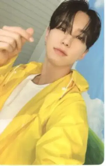 세븐틴 호시 세븐틴스 헤븐 캐럿