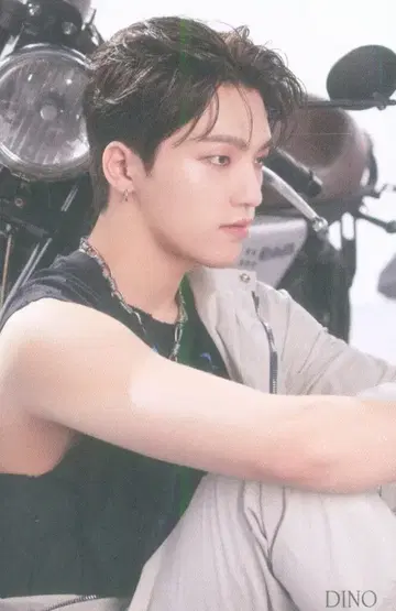 세븐틴 HMV DINO FACE THE SUN CARAT