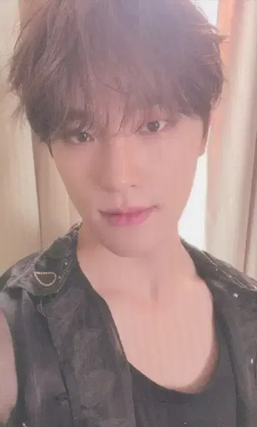 SEVENTEEN FML DINO 트레이딩 카드