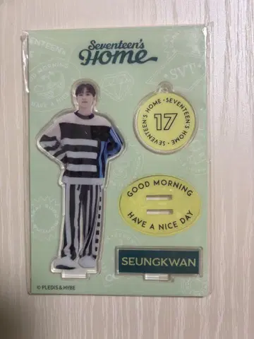 SEVENTEEN 세부치 승관 HOME 아크릴 스탠드