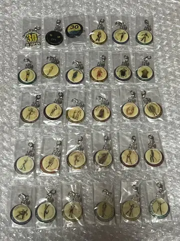 극단 사계절 캣츠 30주년 기념 참 모든 종류