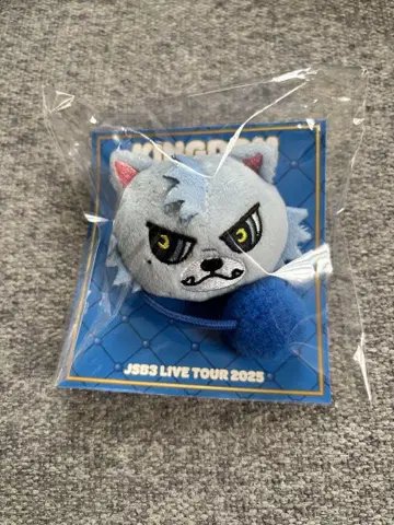 JSB3 헤어 밴드