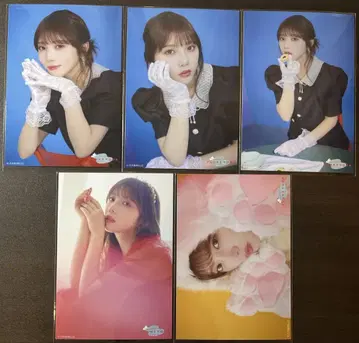요다 유키 졸업 기념 묶음 판매