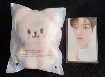 StrayKids 5'CLOCK 펜미 PuppyM 10cm 트레이딩 카드