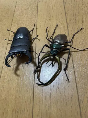 생물 대도감
