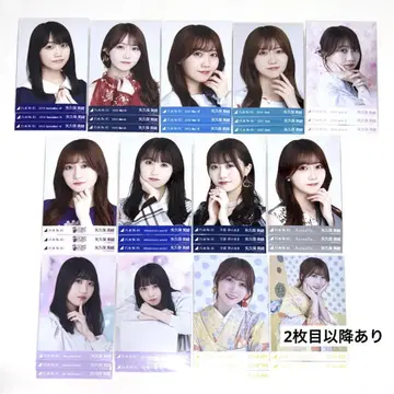 노기자카46 야쿠보 미오 브로마이드 컴프 장미 모음
