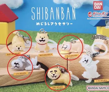 SHIBANBAN 시반반 메지루시 액세서리