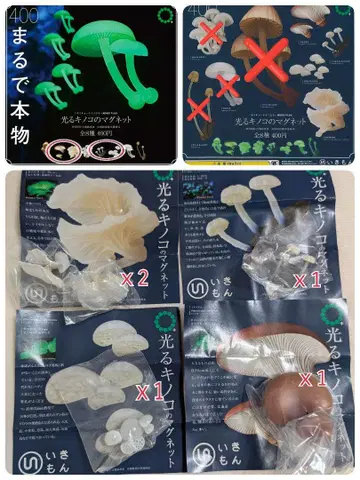네이처 테크니컬러 MONO 빛나는 버섯 마그넷 4종 총 5개 세트