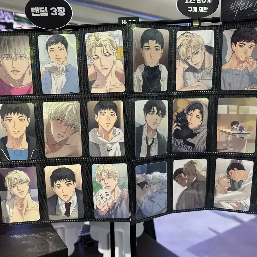 日本全国送料無料商品人気ランキング Backlight Collection poca Full Set of 18 Jaeimy Shop on その他