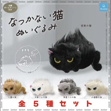 귀여운 고양이 봉제 인형 5종 세트