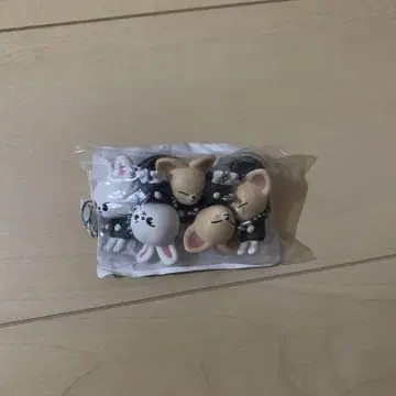 straykids 가챠 키링