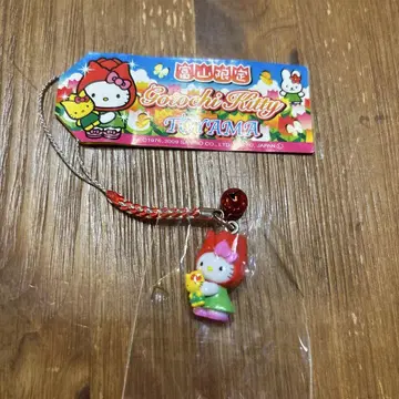 지역 키티 도야마 한정판