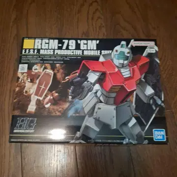 건담 프라모델 HGUC 1/144 헬스장