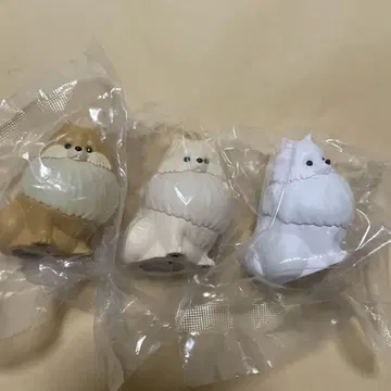 오산포메 라이트 화이트 크림 오렌지
