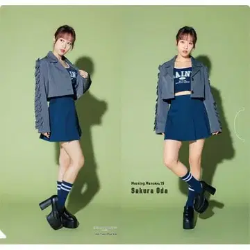 모닝구 무스메. '25 오다 사쿠라 슬림 클리어 파일