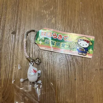 고토치 키티 니가타 한정판
