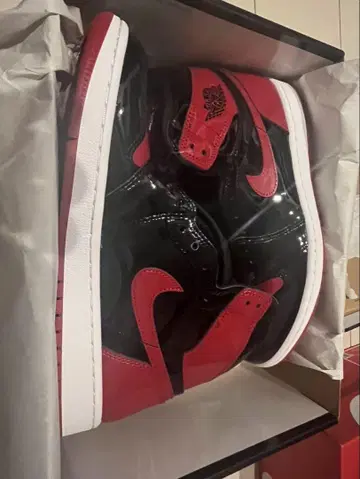 Air Jordan 1 Retro High OG 8 (US)