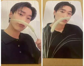 ATEEZ 사랑하는 나의 뮤즈 산 라키드로