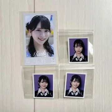 이코러브 사사키 마이카 미니 사진 id 사진