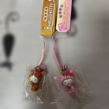 나라 키티