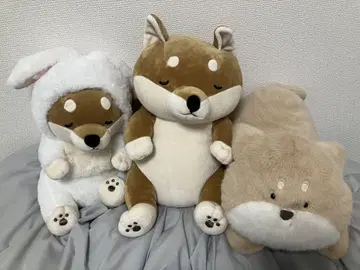 시바견 봉제 인형