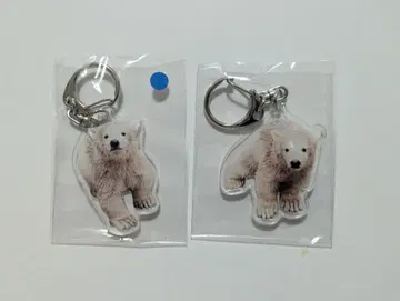 북극곰 쌍둥이 아크릴 키링 2개 세트 야기야마 동물 공원