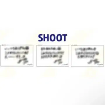 BUDDiiS 간결한 설명 SHOOT