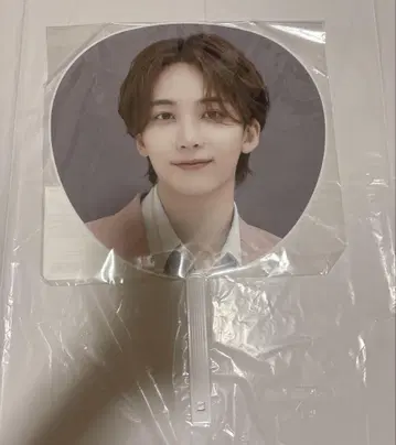 SEVENTEEN HARE 부채 이미지 피켓 정한