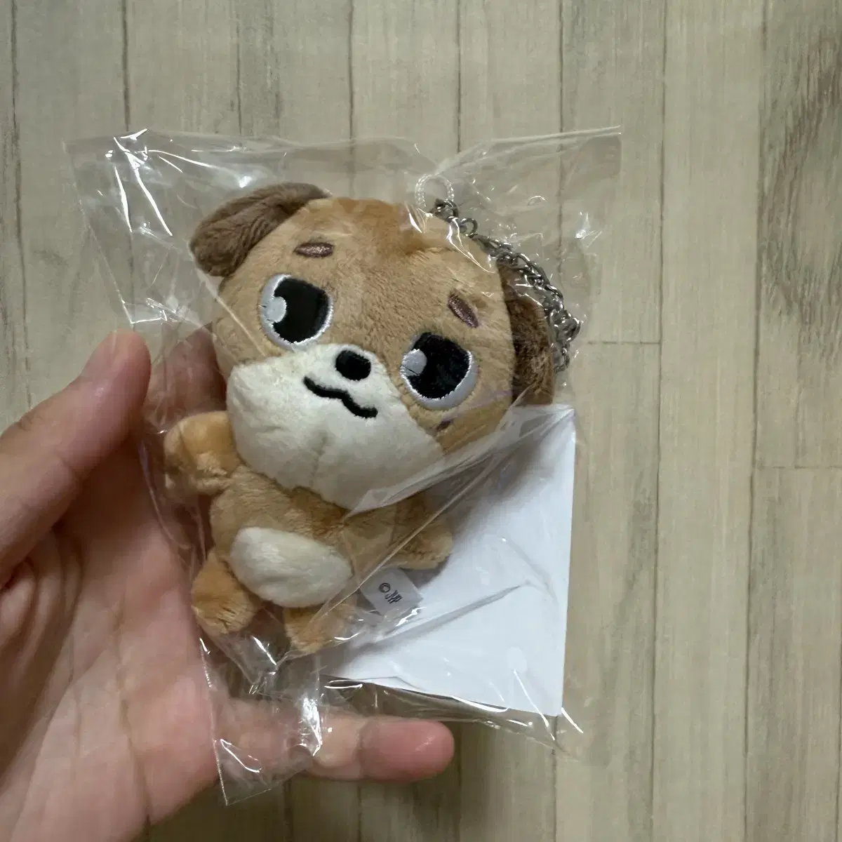 DAY6 Denimals Japan Goods Bag Charm Keyring Don
