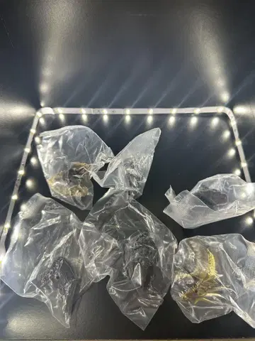 제일복권 고질라 대괴수열전 G G상 6종류 컴플리트 세트
