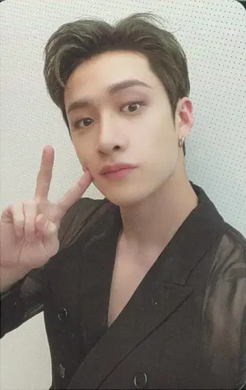 스트레이키즈 방찬 그린 프로젝트 B