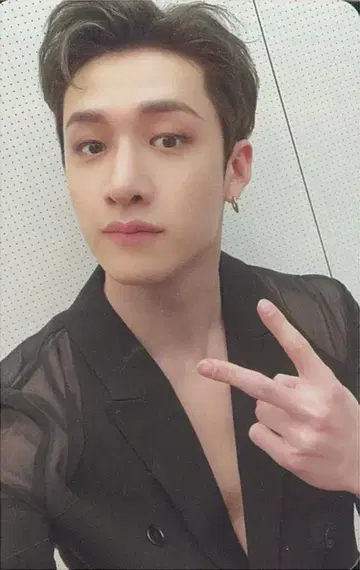 스트레이키즈 방찬 그린 프로젝트 A